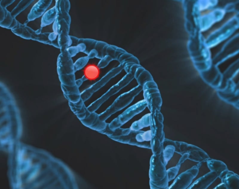 DNA Strands